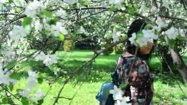 Молода щаслива жінка, що гуляє в яблучному саду навесні квітами білими. Портрет красивої дівчини — стокове відео
