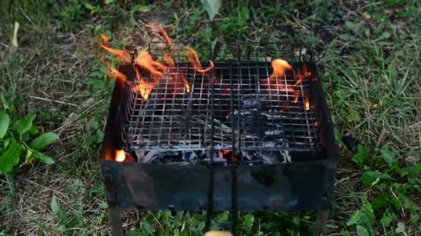 Dřevo, papír a uhlí v kovových pánev gril planoucí, topení, zářící v zářivě červené a oranžové barvy před vaření grilování na horké táborák, jako piknik pozadí — Stock video