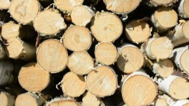 Kışa hazır odun yığını