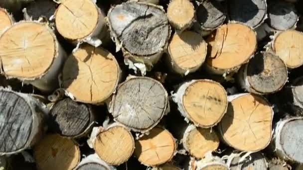 准备过冬的木柴堆 — 图库视频影像