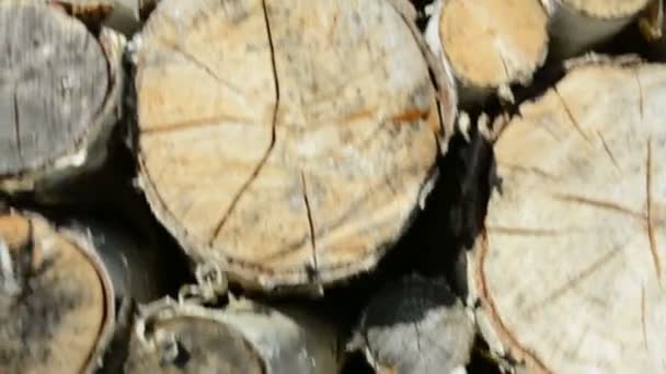 Pile Grumes Bois Prête Pour Hiver — Video