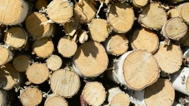Holzstapel Bereit Für Den Winter — Stockvideo