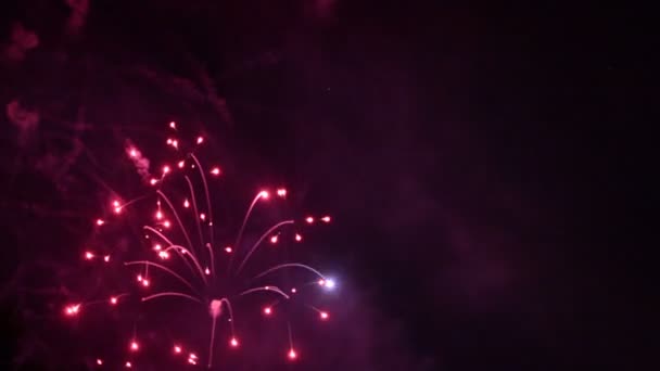 Video Vuurwerk Donkere Hemel — Stockvideo