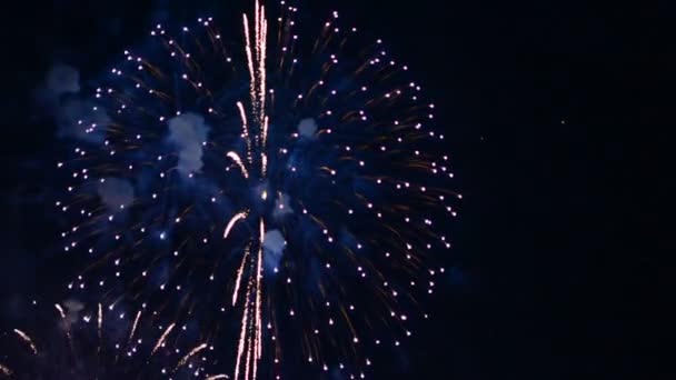 Fuochi Artificio Video Nel Cielo Buio — Video Stock