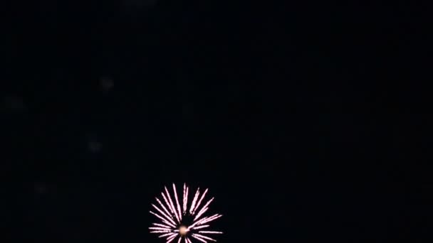 Feux Artifice Vidéo Dans Ciel Sombre — Video