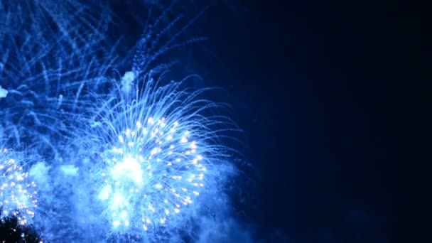 Fuegos Artificiales Vídeo Cielo Oscuro — Vídeo de stock