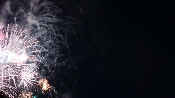 Fuegos Artificiales Vídeo Cielo Oscuro — Vídeo de stock