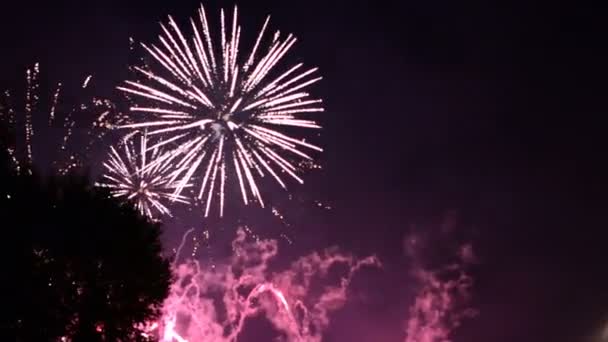 Fuegos Artificiales Vídeo Cielo Oscuro — Vídeo de stock