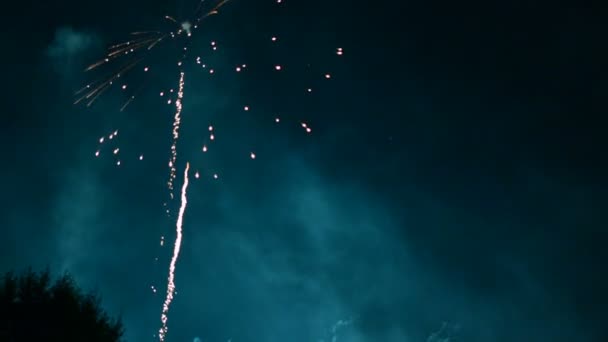 Όμορφη Πυροτεχνήματα Δείχνουν Στον Ουρανό Νύχτας — Αρχείο Βίντεο