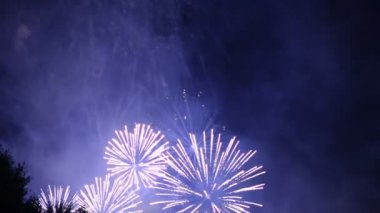 gece gökyüzünde güzel havai fişek gösterisi