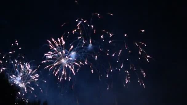 Mooie Vuurwerkshow Nachtelijke Hemel — Stockvideo