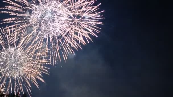 Éjszakai Égbolton Gyönyörű Tűzijáték — Stock videók