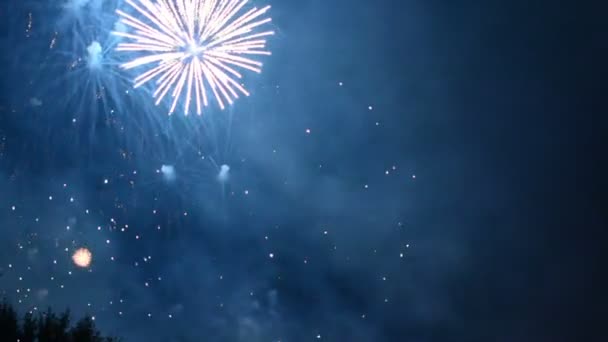 Hermoso Espectáculo Fuegos Artificiales Cielo Nocturno — Vídeo de stock