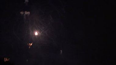 gece gökyüzünde güzel havai fişek gösterisi