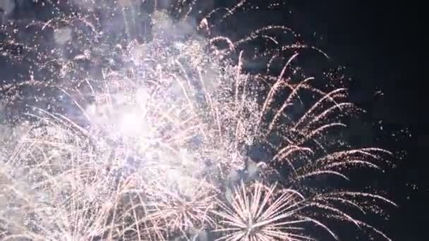 Красивое Фейерверк Шоу Ночном Небе — стоковое видео