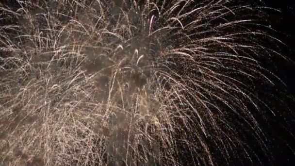 Όμορφη Πυροτεχνήματα Δείχνουν Στον Ουρανό Νύχτας — Αρχείο Βίντεο