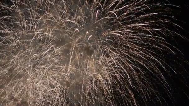 Hermoso Espectáculo Fuegos Artificiales Cielo Nocturno — Vídeo de stock