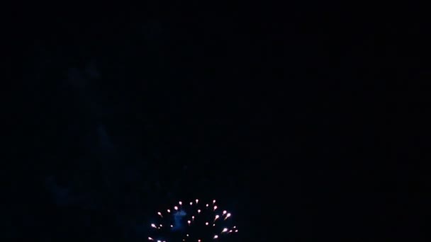 Feux d'artifice vidéo dans le ciel sombre 