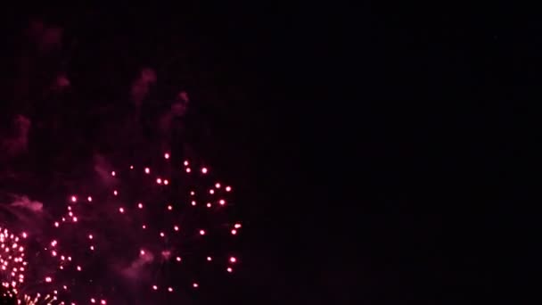 Video Vuurwerk Donkere Hemel — Stockvideo