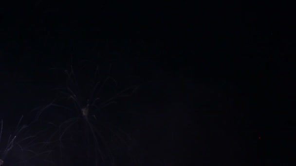Feux d'artifice vidéo dans le ciel sombre 