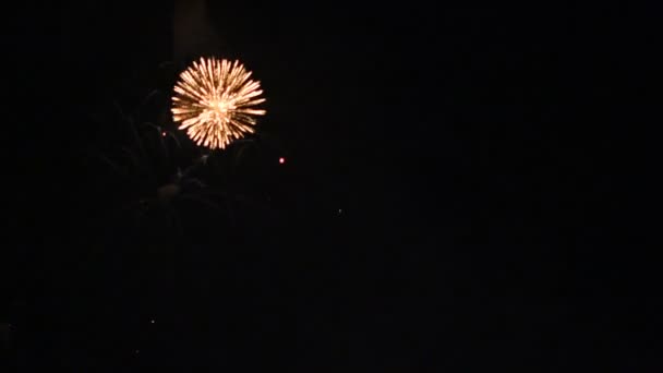 Fuegos Artificiales Vídeo Cielo Oscuro — Vídeo de stock