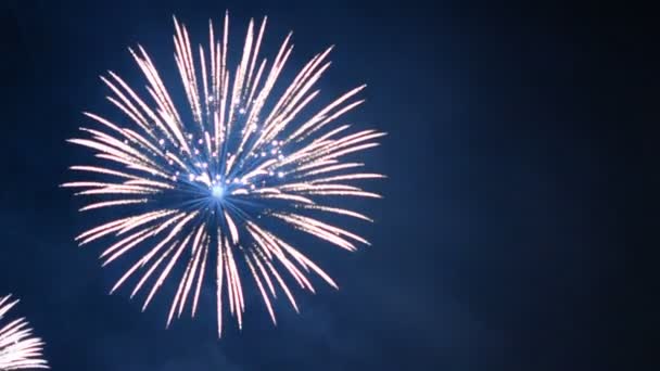 Fuegos Artificiales Vídeo Cielo Oscuro — Vídeos de Stock