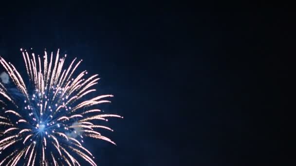 Fuegos Artificiales Vídeo Cielo Oscuro — Vídeo de stock