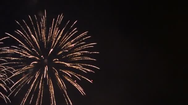 Fuegos Artificiales Vídeo Cielo Oscuro — Vídeo de stock