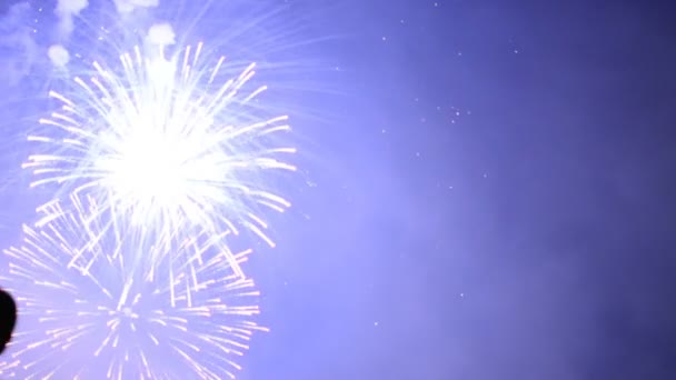 Video Fireworks Sky Dark — Stock Video