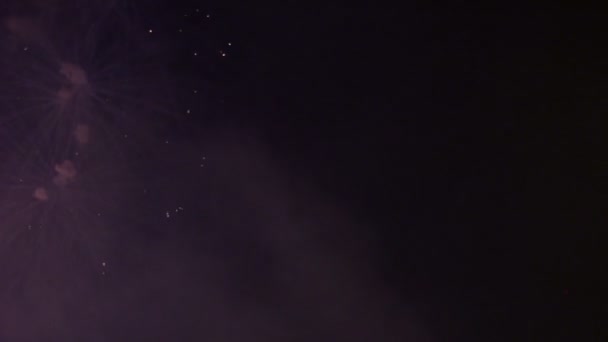 어두운 하늘에서 비디오 불꽃놀이 — 비디오