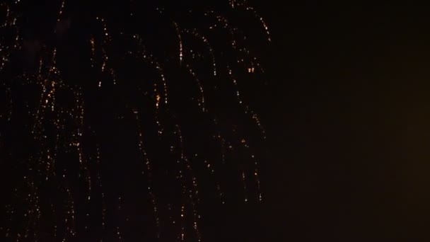 Fuegos Artificiales Vídeo Cielo Oscuro — Vídeo de stock