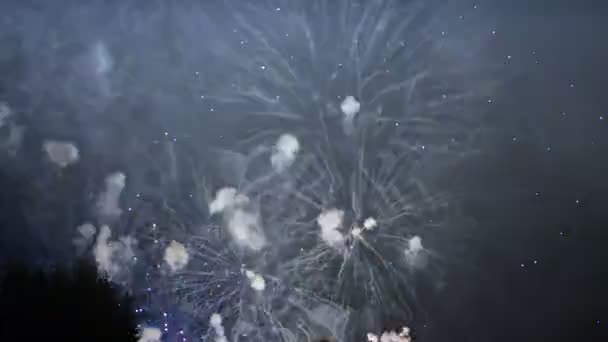 Coloridos Fuegos Artificiales Noche Vacaciones 1080P — Vídeo de stock