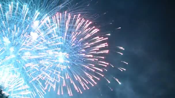 Fogos Artifício Coloridos Noite Férias 1080P — Vídeo de Stock