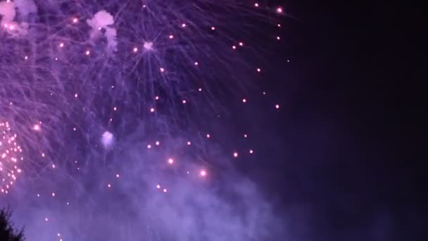 Coloridos Fuegos Artificiales Noche Vacaciones 1080P — Vídeos de Stock