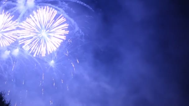 Fuochi Artificio Colorati Durante Notte Vacanza 1080P — Video Stock