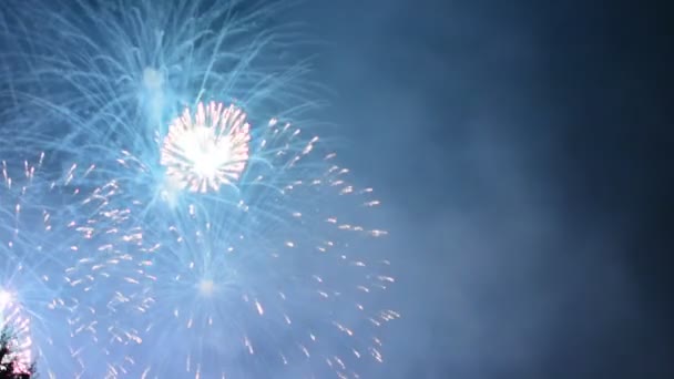 Coloridos Fuegos Artificiales Noche Vacaciones 1080P — Vídeo de stock