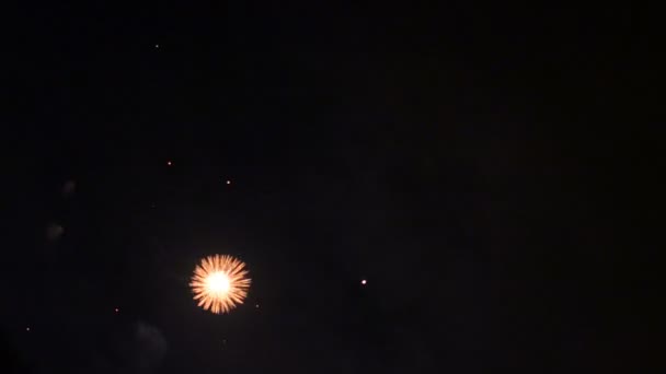 Красочные Фейерверки Праздничную Ночь 1080P — стоковое видео