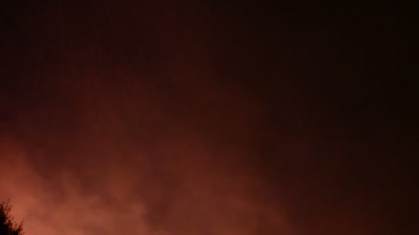 Coloridos Fuegos Artificiales Noche Vacaciones 1080P — Vídeos de Stock