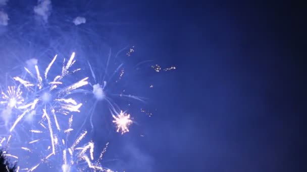 Színes Tűzijáték Holiday Este 1080P — Stock videók