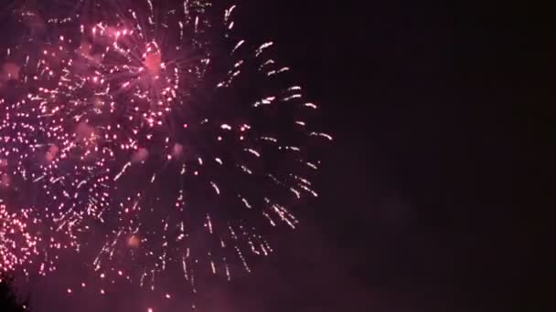 Színes Tűzijáték Holiday Este 1080P — Stock videók