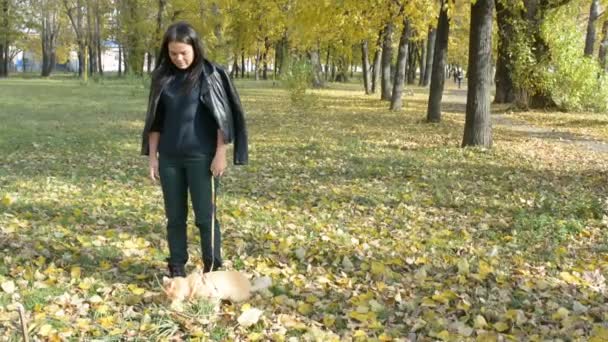 秋の公園で猫とひもにつないで歩いている少女 — ストック動画