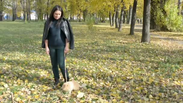 Meisje met een kat lopen aan de leiband in het najaar Park — Stockvideo