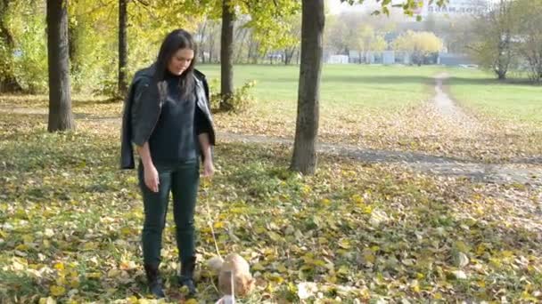 Mädchen spaziert mit Katze an der Leine im Herbstpark — Stockvideo