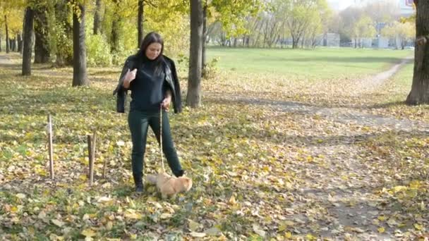 Mädchen spaziert mit Katze an der Leine im Herbstpark — Stockvideo