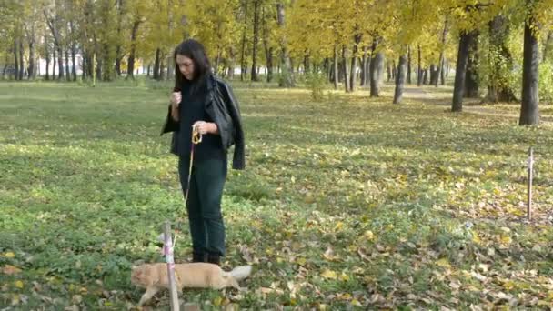 Dívka s kočkou chůzi na vodítku na podzim Park — Stock video