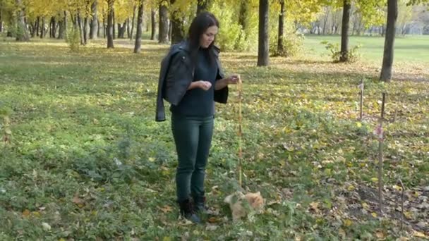 Mädchen spaziert mit Katze an der Leine im Herbstpark — Stockvideo