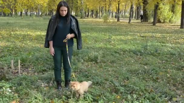 Ragazza che cammina con un gatto al guinzaglio nel parco autunnale — Video Stock