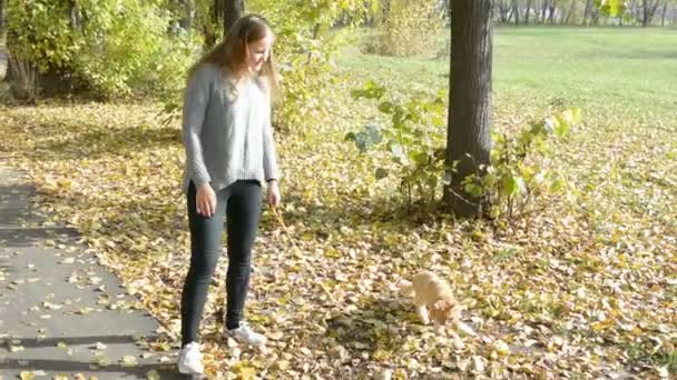 Две девушки гуляют с кошачьей осенью в парке — стоковое видео