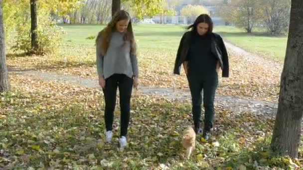 Deux filles marchent avec un chat automne dans le parc 