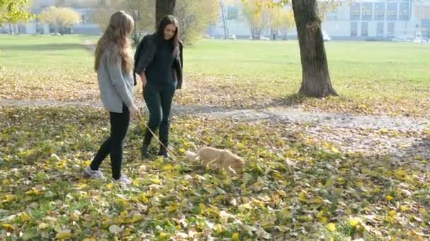 Dvě dívky chodit s kočka podzim v parku — Stock video